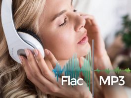 Logiciel pour détecter vos fichiers musiques MP3 Flac de mauvaise qualité : spek