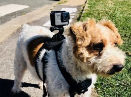 Caméra GOPRO les Accessoires indispensables pour actioncam